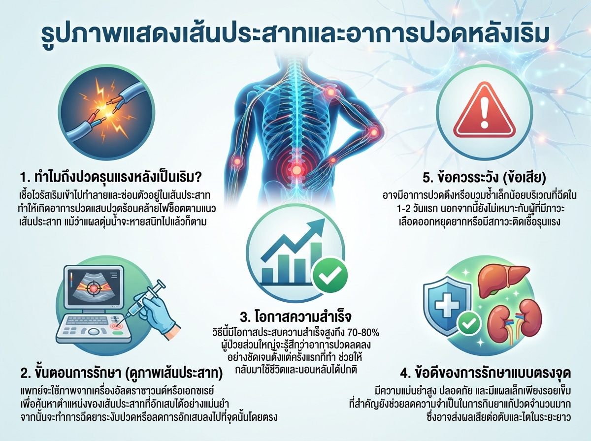 รูปภาพแสดงเส้นประสาทและอาการปวดหลังเริม