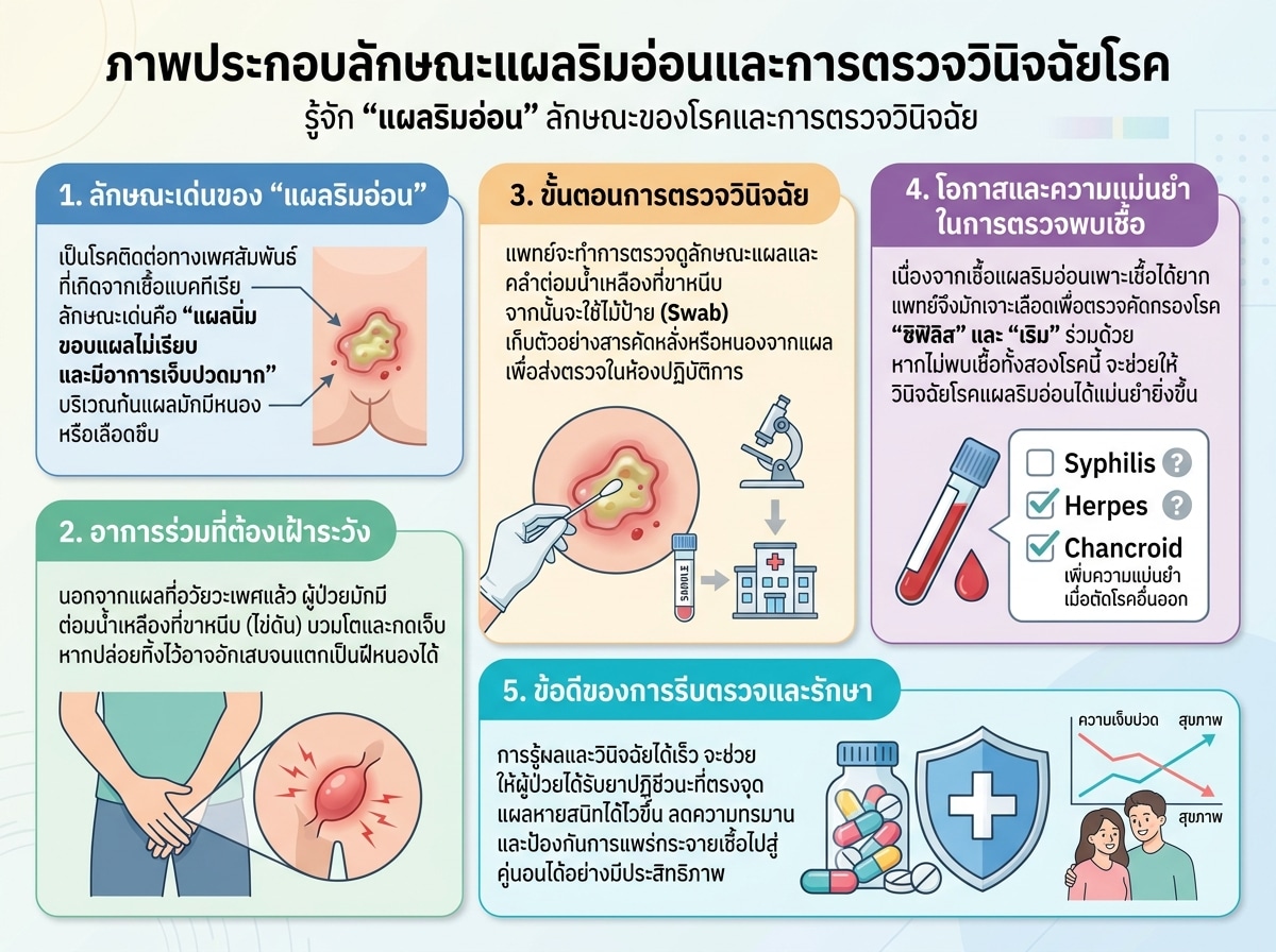 ภาพประกอบลักษณะแผลริมอ่อนและการตรวจวินิจฉัยโรค
