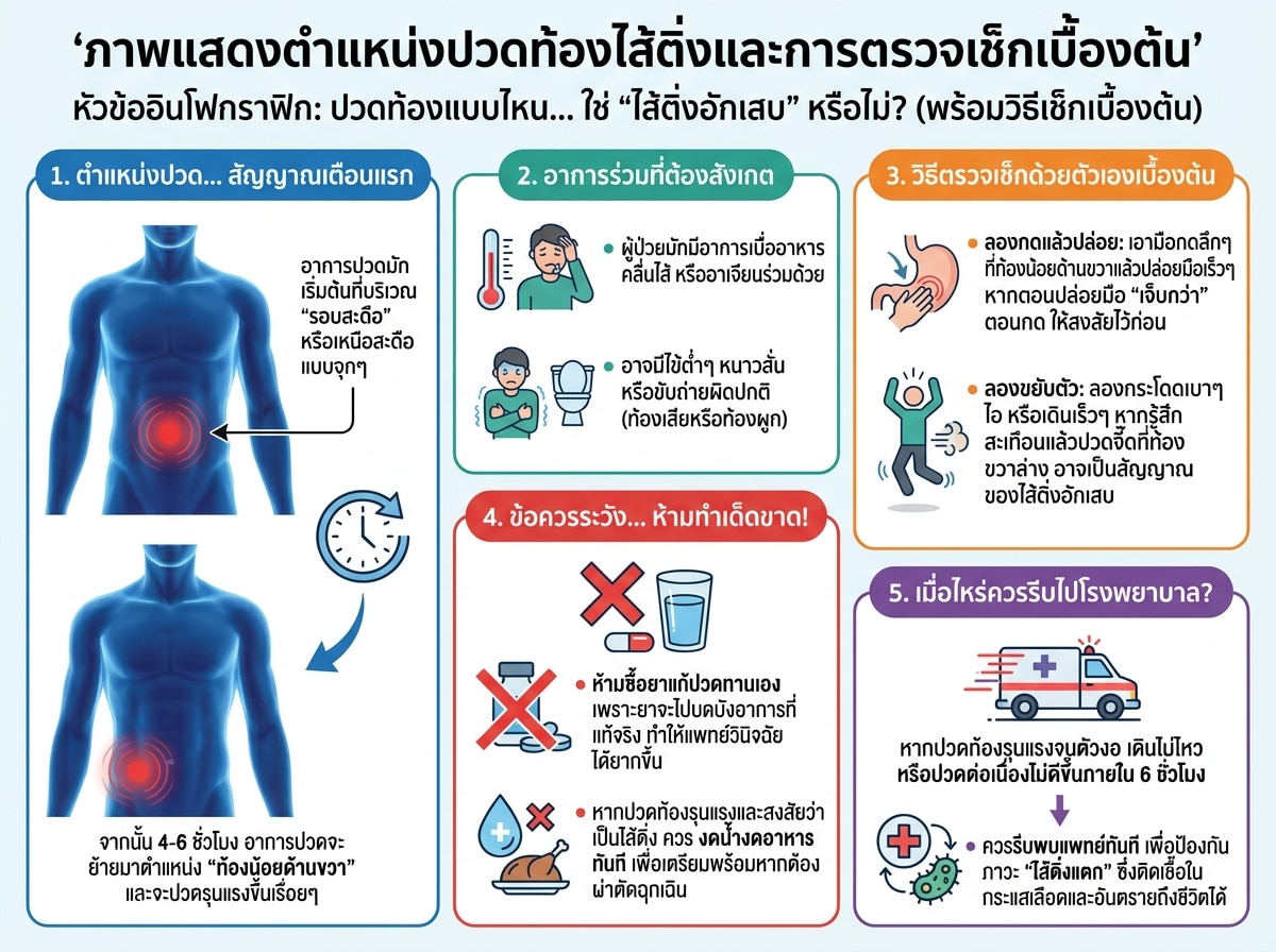 ภาพแสดงตำแหน่งปวดท้องไส้ติ่งและการตรวจเช็กเบื้องต้น