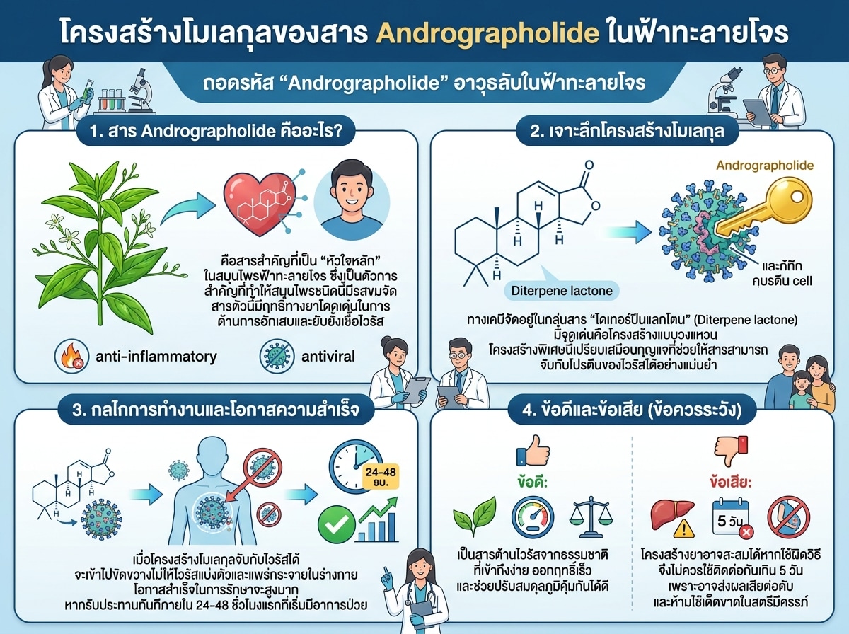 โครงสร้างโมเลกุลของสาร Andrographolide ในฟ้าทะลายโจร