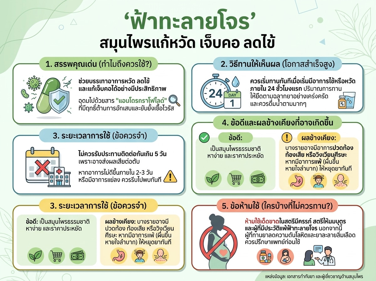 ฟ้าทะลายโจร สมุนไพรแก้หวัด เจ็บคอ ลดไข้