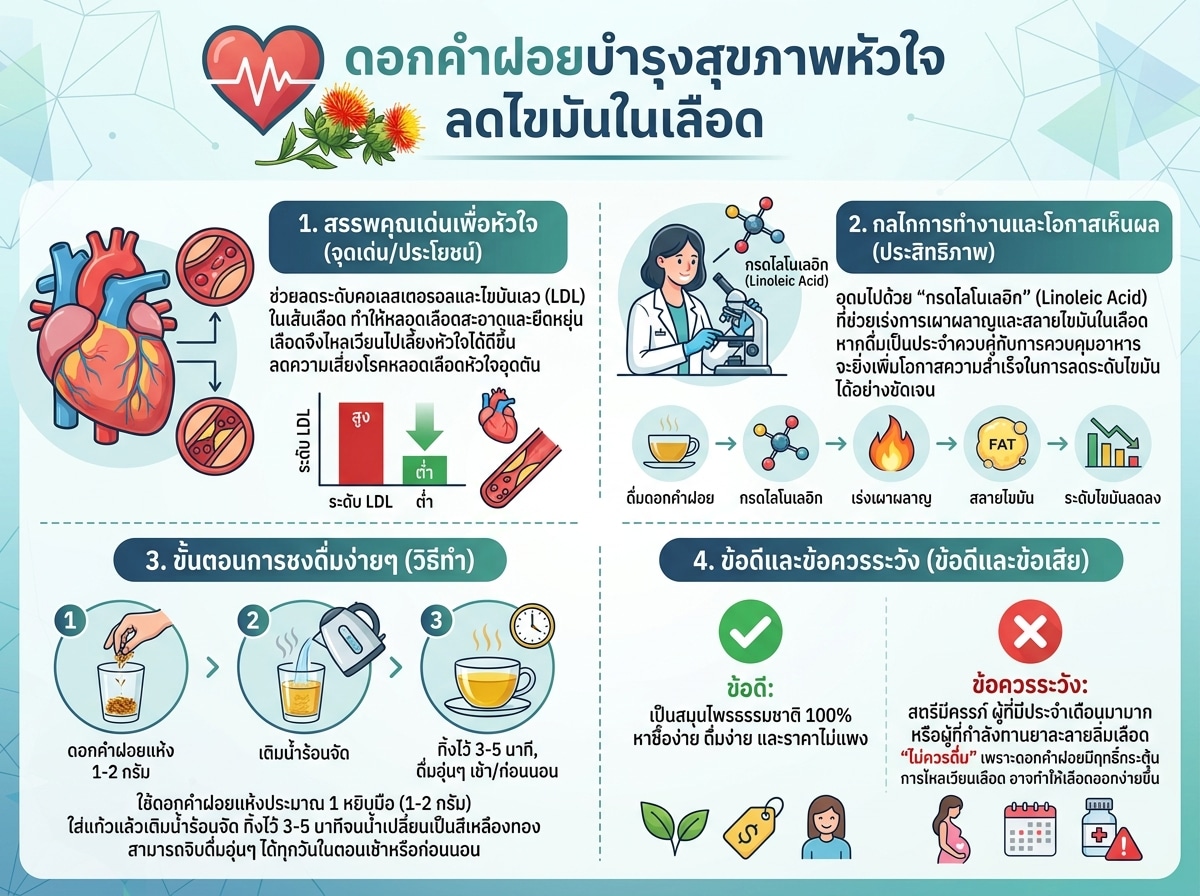 ดอกคำฝอยบำรุงสุขภาพหัวใจ ลดไขมันในเลือด