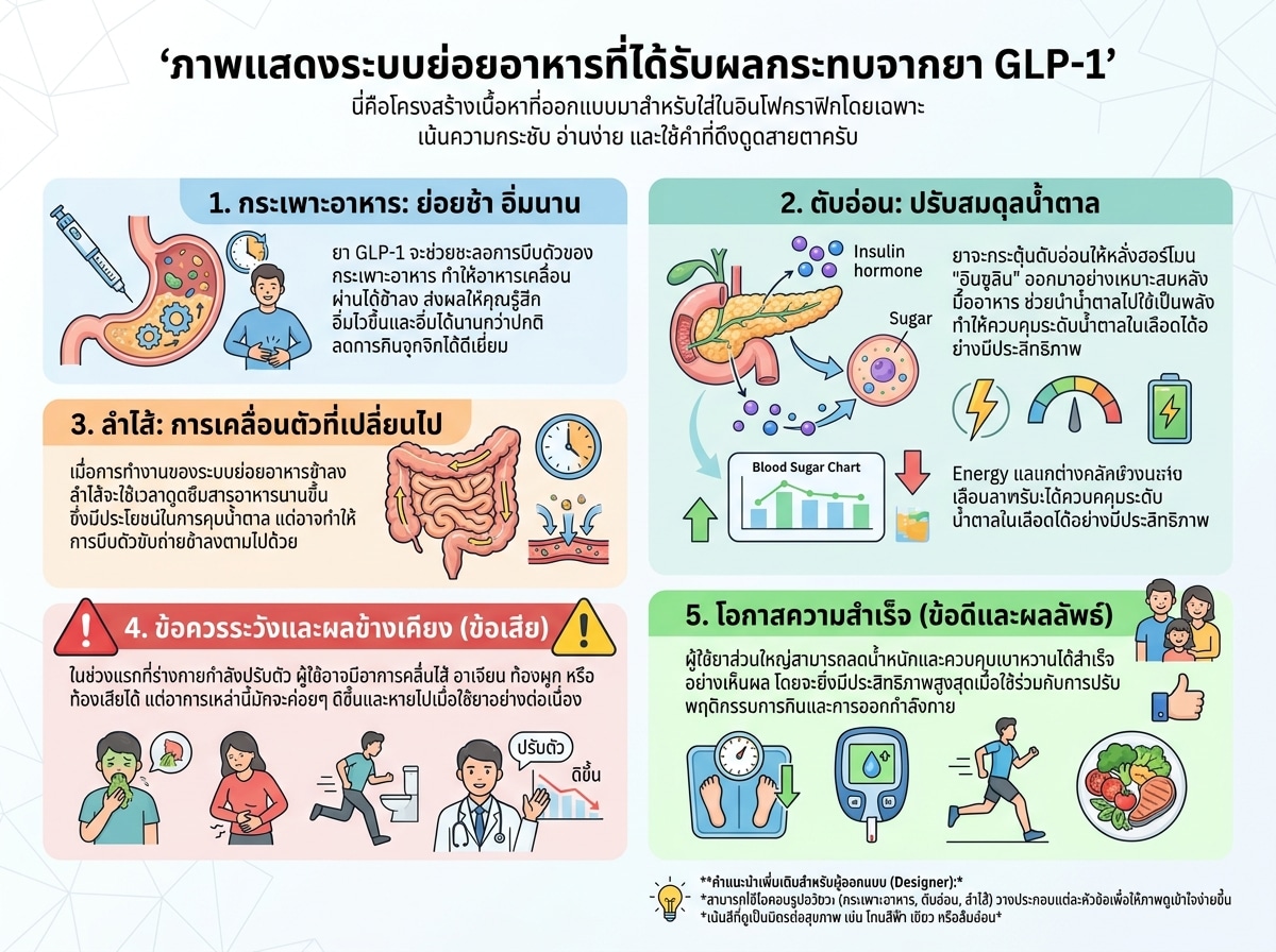 ภาพแสดงระบบย่อยอาหารที่ได้รับผลกระทบจากยา GLP-1