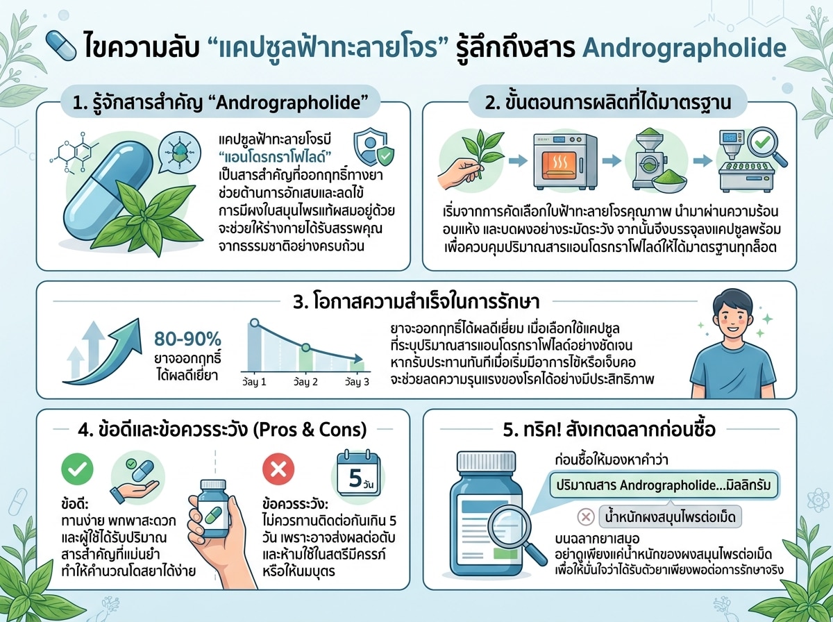 เม็ดแคปซูลฟ้าทะลายโจรพร้อมใบสมุนไพร แสดงปริมาณสาร Andrographolide