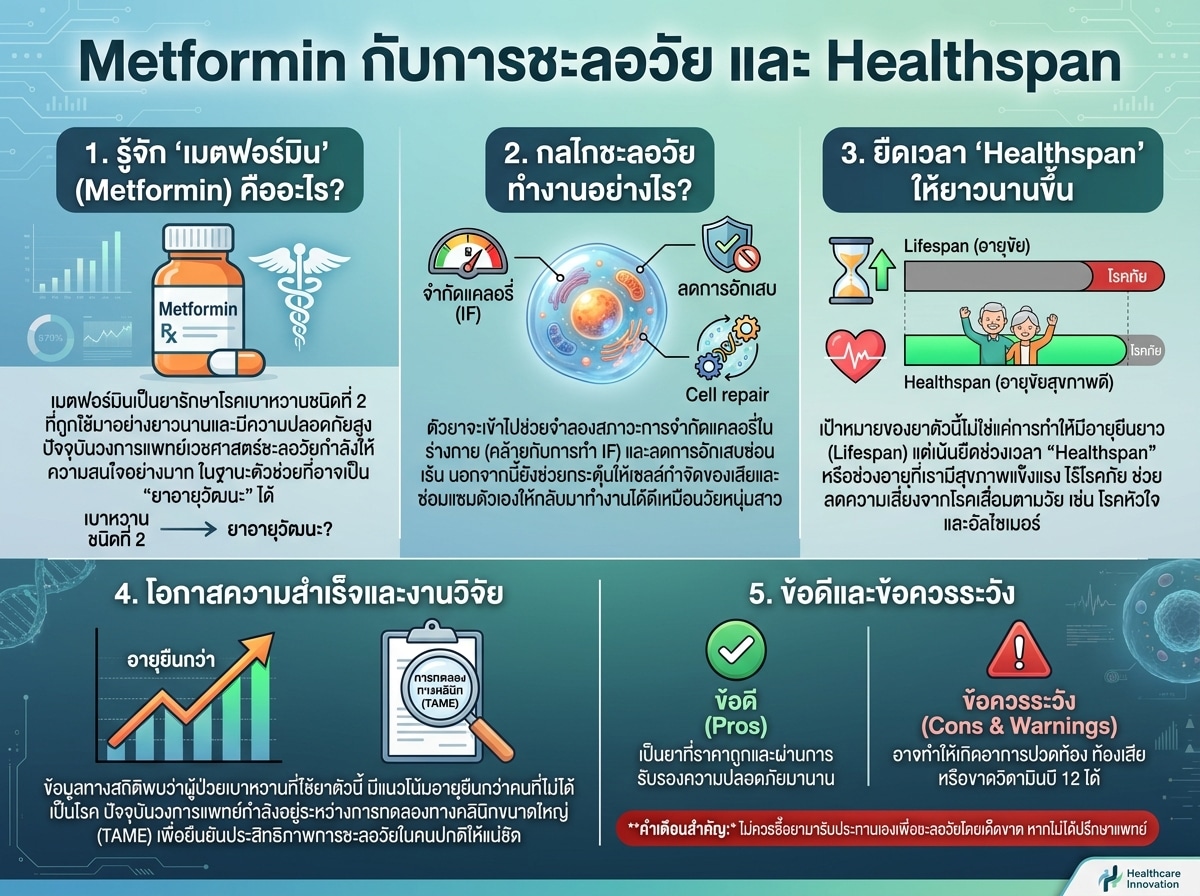 Metformin กับการชะลอวัย และ Healthspan