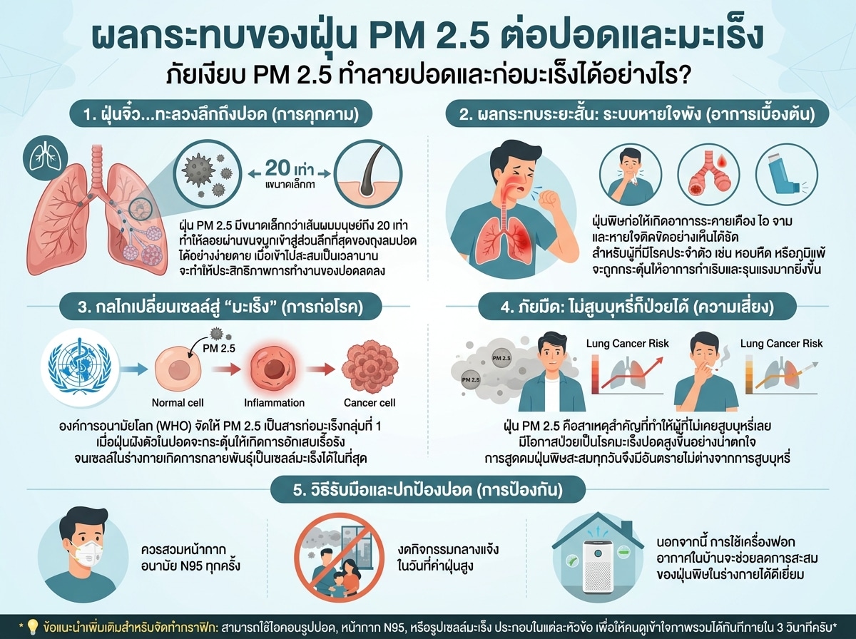 ผลกระทบของฝุ่น PM 2.5 ต่อปอดและมะเร็ง