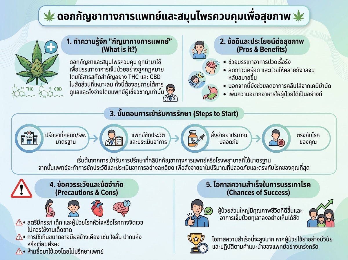 ดอกกัญชาทางการแพทย์และสมุนไพรควบคุมเพื่อสุขภาพ