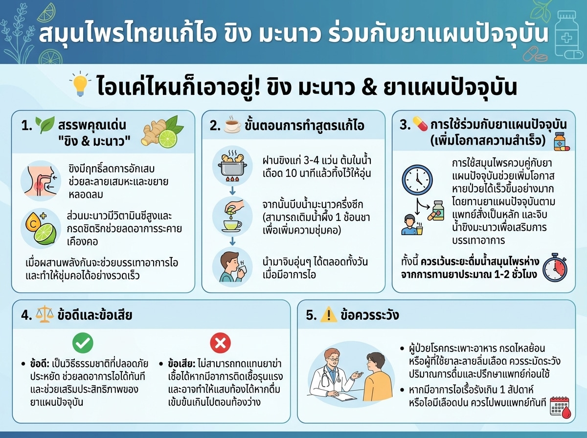 สมุนไพรไทยแก้ไอ ขิง มะนาว ร่วมกับยาแผนปัจจุบัน