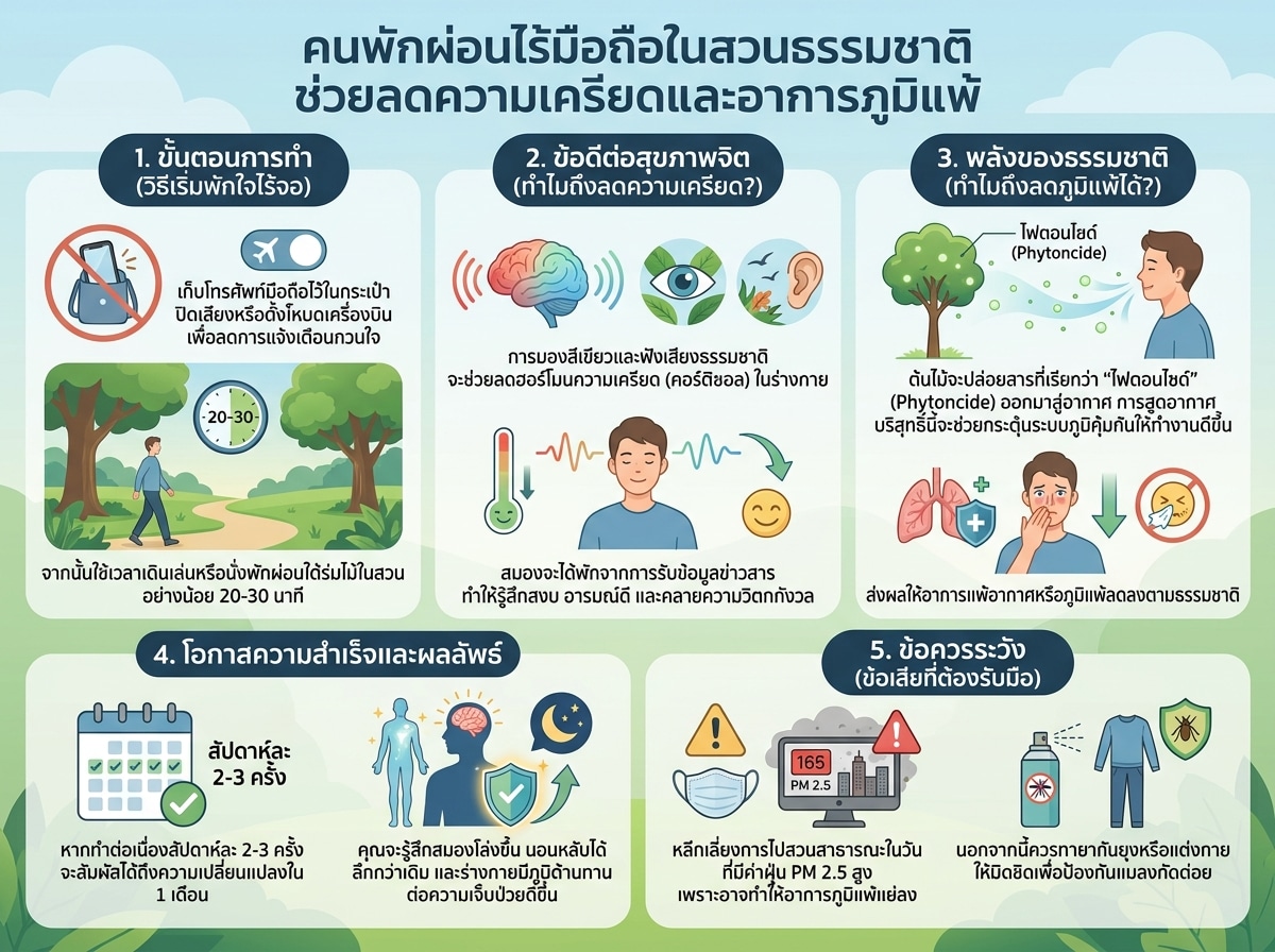 คนพักผ่อนไร้มือถือในสวนธรรมชาติ ช่วยลดความเครียดและอาการภูมิแพ้